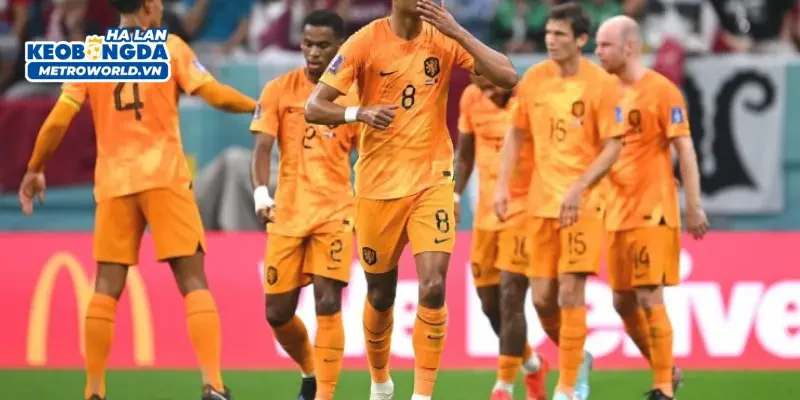 FAQ – Câu hỏi thường gặp về kết quả bóng đá Hà Lan